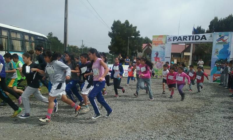 La ostra chilena motiva a escolares de Ancud a hacer deporte y literatura
