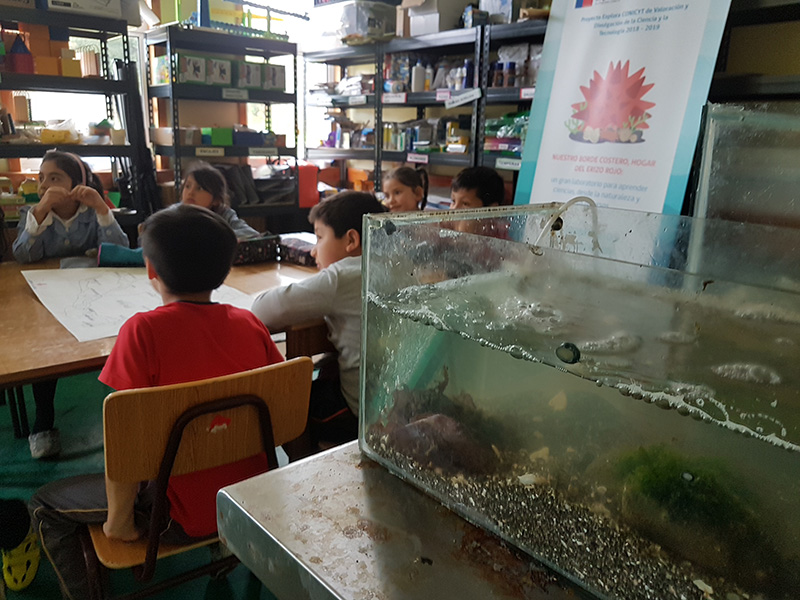Con acuarios escuela de Isla Huar reforzará su trabajo de Investigación sobre borde costero