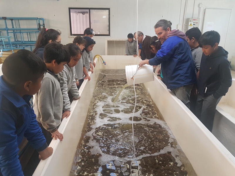 Gira pedagógica busca reforzar conocimientos de borde costero de estudiantes de la Escuela Sol del Pacífico de Ancud