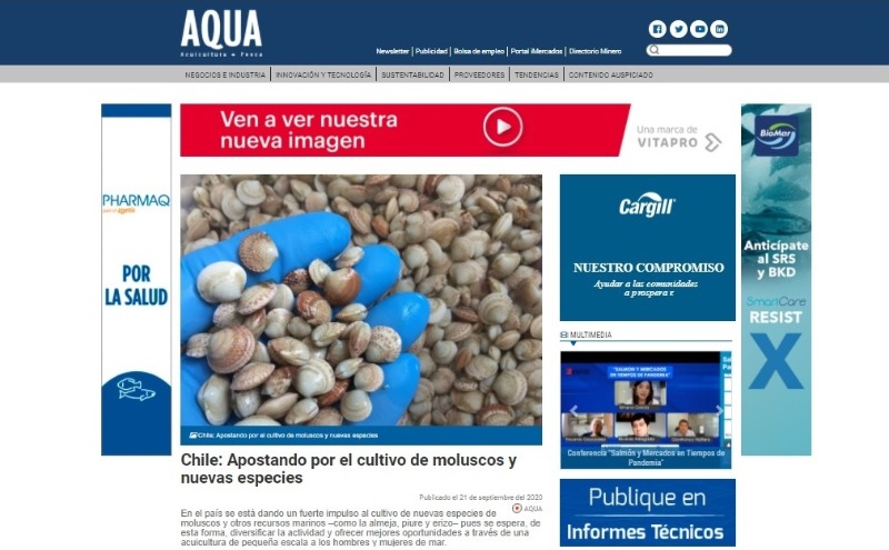 Chile: Apostando por el cultivo de moluscos y nuevas especies
